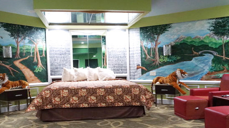 Jungle Suite